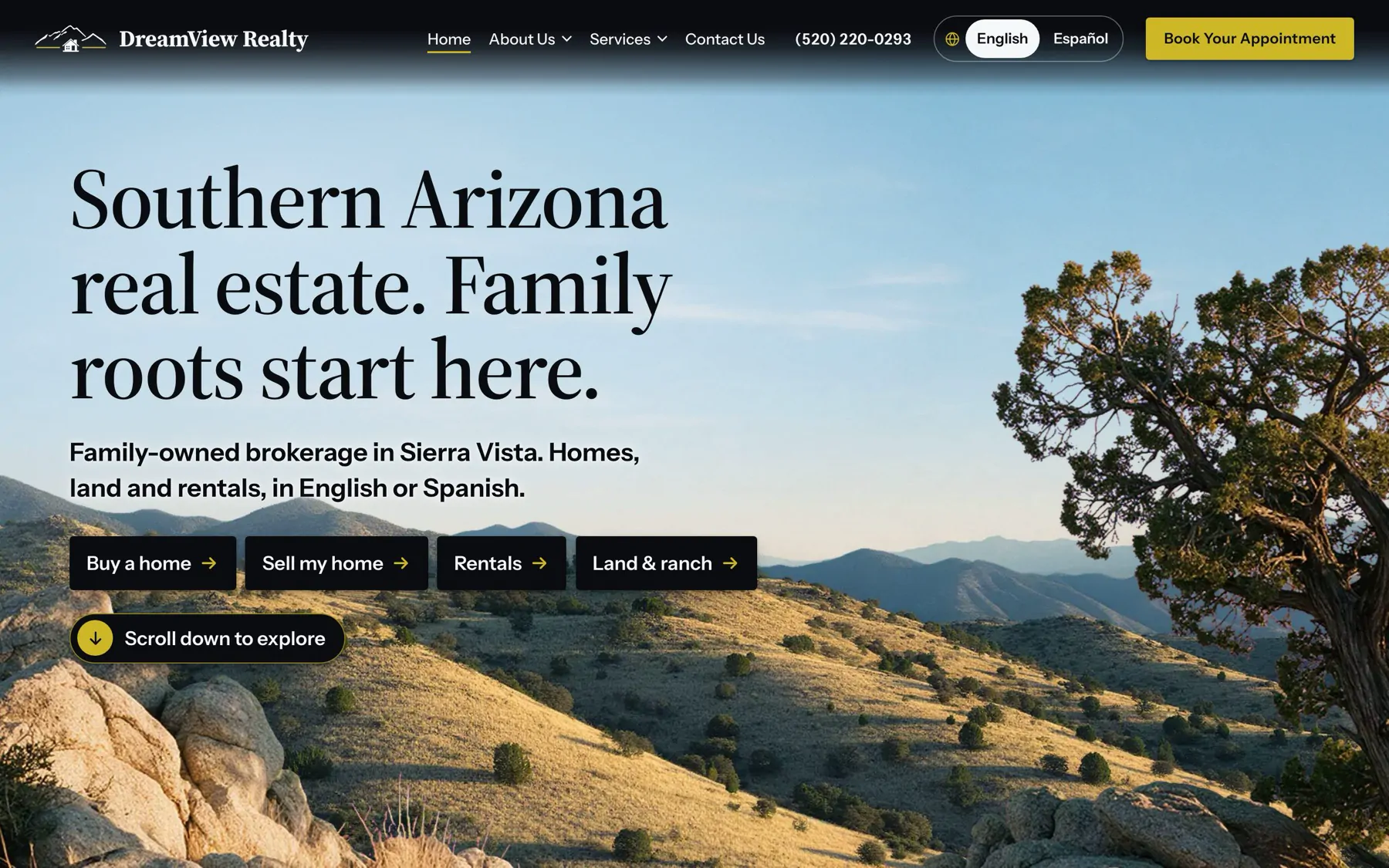 The DreamView Realty home page on a desktop screen